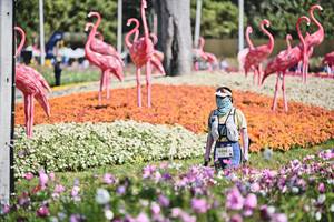 BIB: 
                            <button type="button" onclick="openModal(27793695)" class="btn btn-primary btn-sm float-right btn-popup" data-toggle="modal" data-target=".modal-high-quality">
                        <i class="fas fa-shopping-cart"></i> Add to Cart
                    </button>
                                            <button type="button" onclick="isThisMe(27793695, true)" class="btn btn-success btn-sm float-right btn-popup btn-isme hidden" data-toggle="tooltip" data-placement="bottom" title="นี่คือรูปของคุณใช่ไหม คลิกที่นี่เพื่อเอาเข้าอัลบั้ม">
                        <i class="fas fa-plus"></i> Add to album
                    </button>
                    <button type="button" onclick="isThisMe(27793695, false)" class="btn btn-warning btn-sm float-right btn-popup btn-isnotme hidden">
                        <i class="fas fa-ban"></i> Remove from album
                    </button>